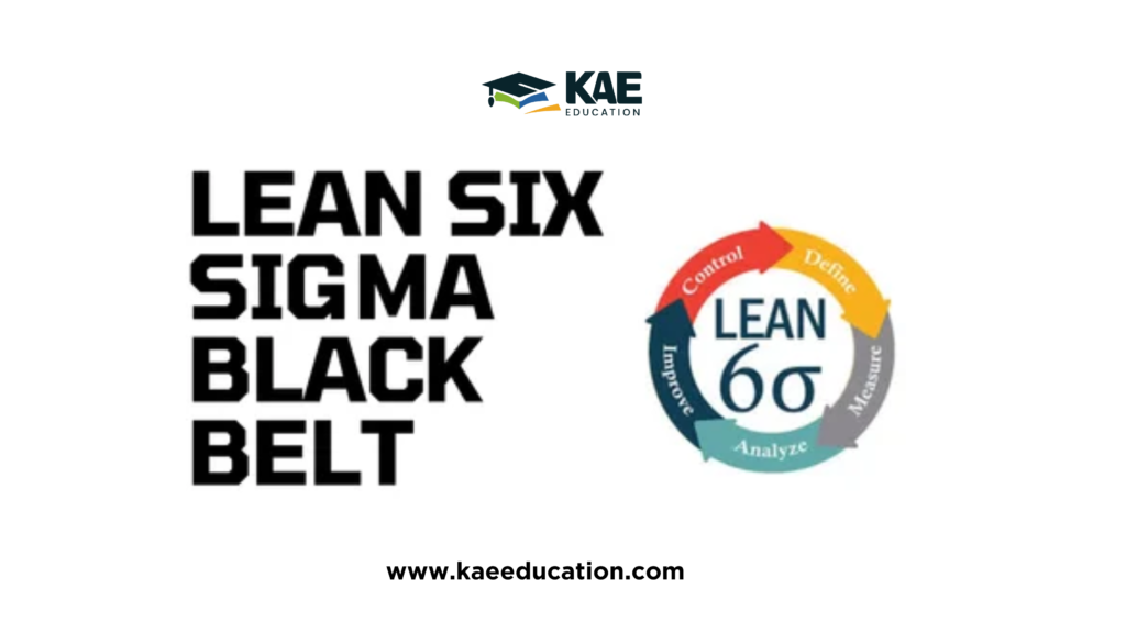 lean six sigma black belt