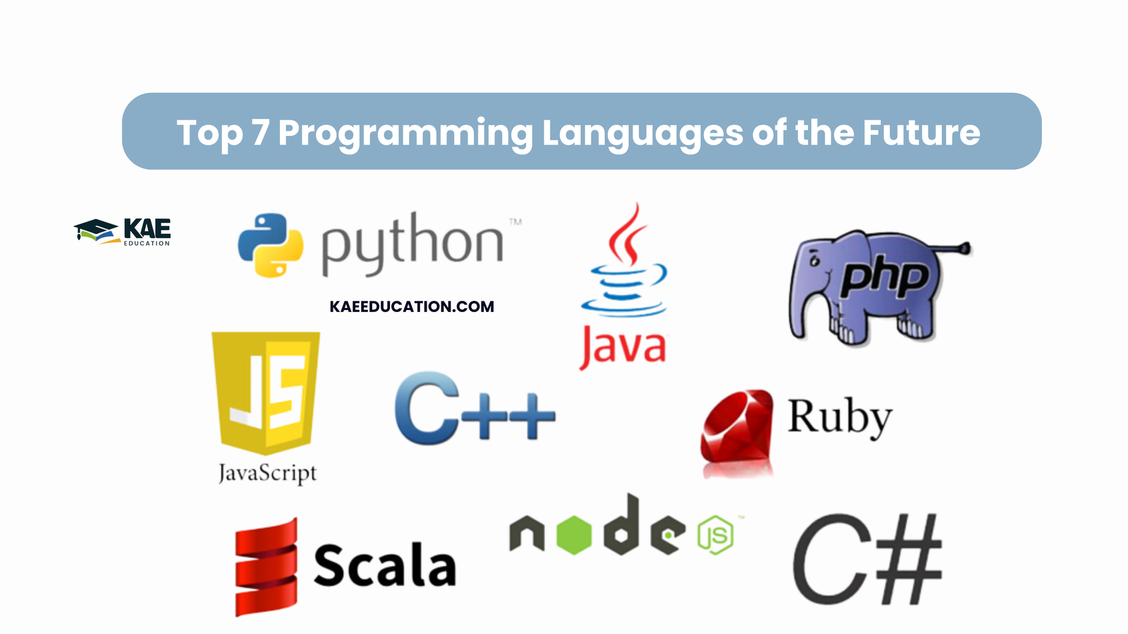 programing language